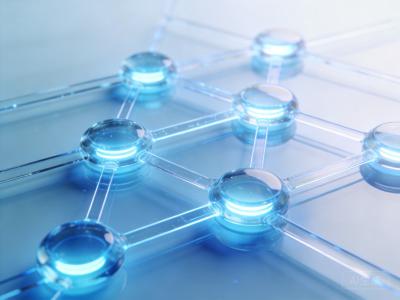 Agent加密支付与Wavelength接入实战